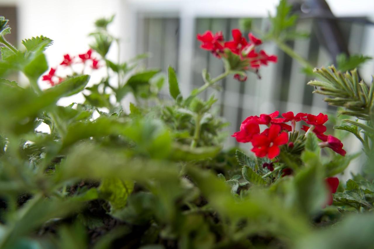 Wakawaka House Bed & Breakfast Arusha Exterior photo